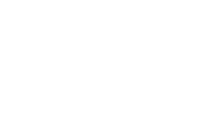 logotipo volkswagen branco